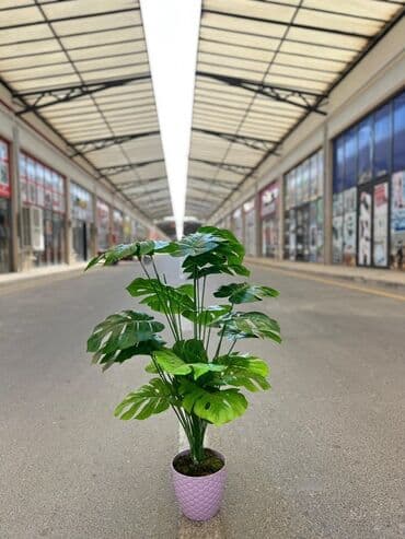 süni ağac: Daxili və xarici məkanlar üçün nəzərdə tutulmuş süni dekorativ ağac — 10