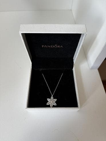 Ювелирные изделия: Колье, Pandora, Серебро, Бесплатная доставка — 1