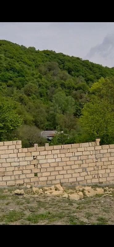 Tikinti