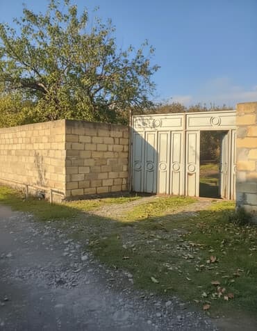 cənub qapısı kirayə evlər: 16 sot, Tikinti, Mülkiyyətçi, Kupça (Çıxarış) — 1