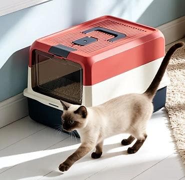 Məhsul: Pişiklər üçün əşyalar dəsti:Hamsı daxil 65 azn.Tek tekde