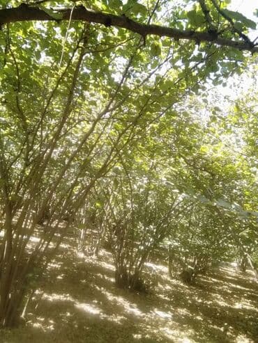 дом на колёсах: 5 комнат, 100 м², Нет кредита, Средний ремонт — 9