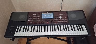 Sintezator, Korg, İşlənmiş, Ünvandan götürmə