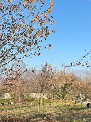 Qarajlar: 17 sot, Tikinti, Mülkiyyətçi, Kupça (Çıxarış) — 6