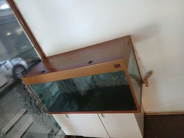 ağ balıq: Akvaryum dəsti – şkaflı - Şüşə akvaryum, ön və yan tərəflər şəffaf — 1