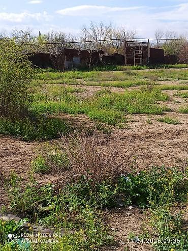 gəncədə torpaq satışı: Tikinti, Müqavilə — 5