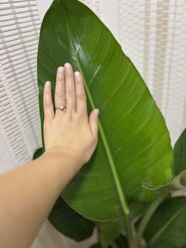 Iran Khodro: Streliciya Nikolai 1metr. Vatsapp mövcuddur!. Çatdırılma metrolara — 3