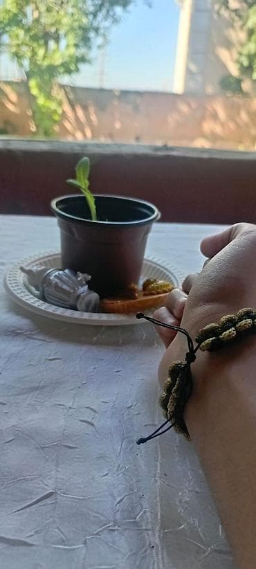 hamam ucun aksessuarlar: Bilərzik — 9