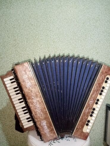 Akustik Akkordeon, Yeni