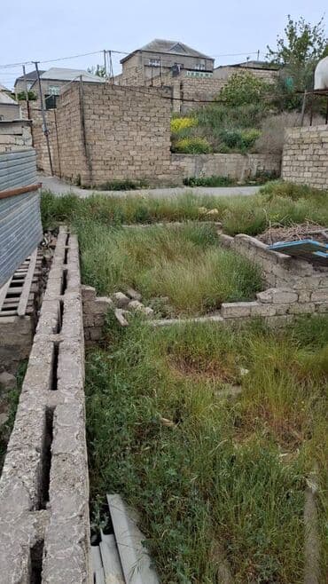 baku electronics xacmaz: 3 sot, Mülkiyyətçi, Bələdiyyə — 1