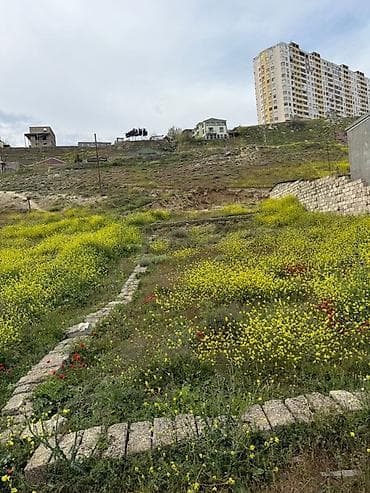 suraxani torpaq: 2 sot, Tikinti, Mülkiyyətçi, Kupça (Çıxarış) — 1