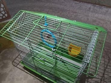 Qəfəslər: 2 ci Əl Quş qəfəsi – kiçik və orta ölçülü ev quşları üçün - Rəng — 2