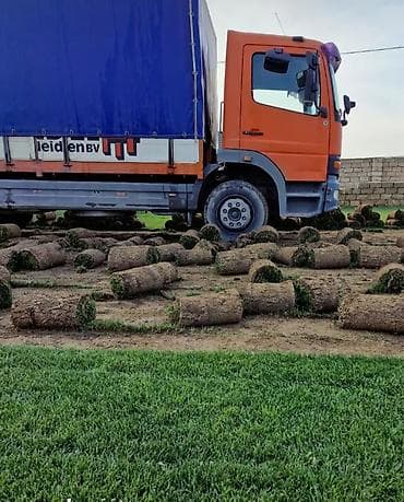 baseyn temizlenmesi: Salam Alekum N1 Qazon satışı başladı Rulon qazon və landşaft — 2