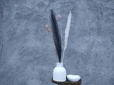 набор инструментов: Rayonlara pulsuz çatdırılma. Güllər daxil deyil, ayrıca satılır (1,5 — 6