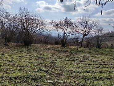 Mənzillər: 10 sot, Tikinti, Makler, Kupça (Çıxarış) — 6