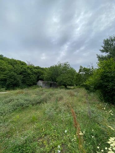 memar ecemi kiraye ev: Tikinti, Mülkiyyətçi — 6