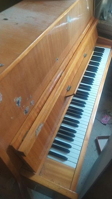 Gitaralar: Işləyir evi sokurem hayifdi gel apar — 1