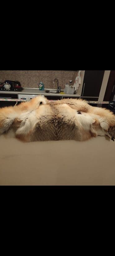 qadınlar üçün qara qonur tülkü xəzindən papaq: Jilet, One size — 6