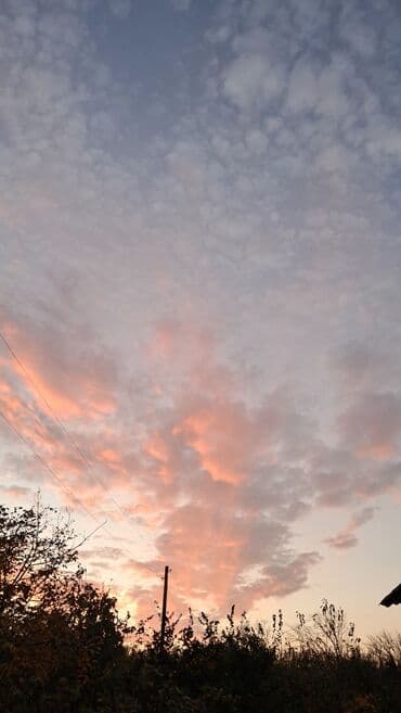 Ofisiant, Kişi, 17 yaş, 1 ildən az təcrübə lalafo.az -da Ofisiant, Kişi, 17 yaş, 1 ildən az təcrübə