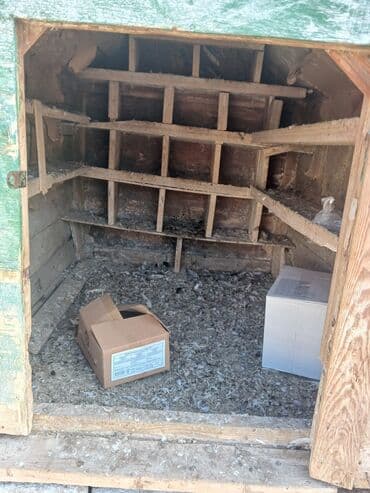 goyərcin yuvaları: Taxta quşxana/yuvalıq - Material: taxta və metaldan hazırlanmış — 4