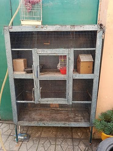 bildirçin: Quşlar üçün iri volyer/ qəfəs - Material: metal karkas və möhkəm — 1