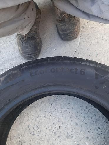 meqan diski: Continental EcoContact 6 yay şini - Ölçü: 215/55 R17 - Sürət indeksi — 1