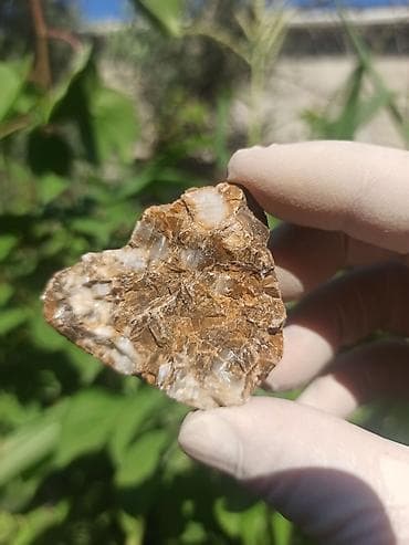 Milyon İllik Tarixi Fosil 💎 Daşlaşmış Ağac ( Petrified Wood ) 🪵 ✨ Bu — 5