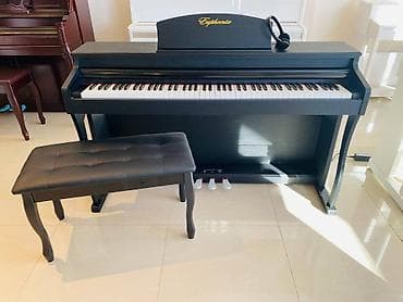 qəpik pullar: Yeni daxil olmuş elektro pianolar, çox münasib qiymətə. Fərqli — 1