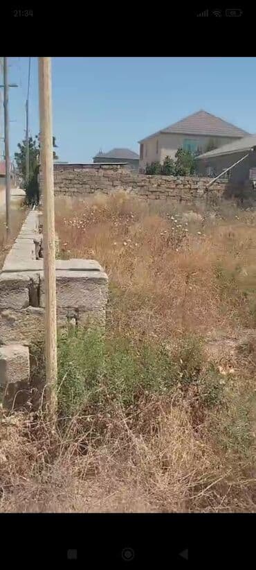 Boşqablar: 2 sot, Tikinti, Mülkiyyətçi, Kupça (Çıxarış) — 2