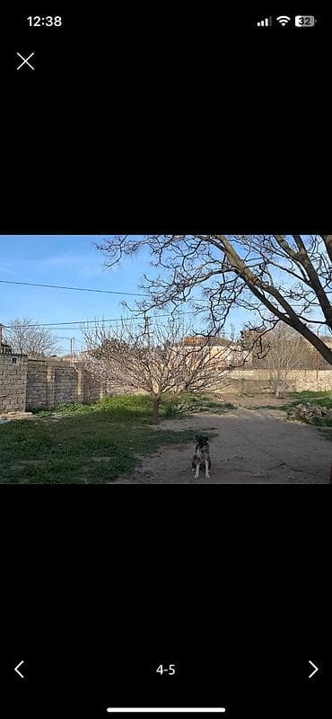 lalafo heyet evleri: 8 sot, Biznes üçün, Barter mümkündür, Bələdiyyə — 5