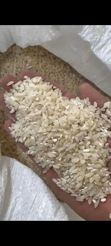 ucuz ev eşyaları: Məhsul: Düyü (ağ dənəli, qısa/orta dənə) Təsvir: - Yüksək keyfiyyətli — 2