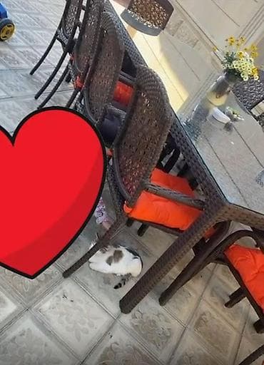 Masa 10 oturacaq ile 350azn. Unvan Qaracuxur Nigaz — 1