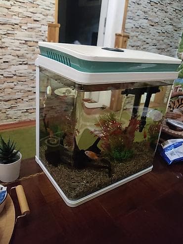 hava matoru: Akvaryum seti – şık kvadrat dizaynlı, ağ rəngli qapaq və alt baza ilə — 2