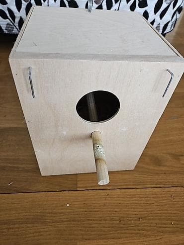 quş üçün qəfəs: Bala verməyə hazırlaşan muhabbət quşları. Sağlamdırlar və aktiv — 5