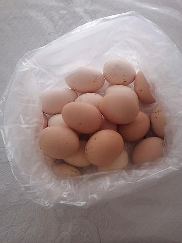 Təbii toyuq yumurtası - Açıq-qəhvəyi qabıqlı, müxtəlif ölçülərdə təzə