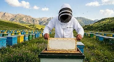 bal arısı satışı: 🍯✅ Yüksək keyfiyyətli Kəlbəcər balının və arı məhsullarının tək — 9