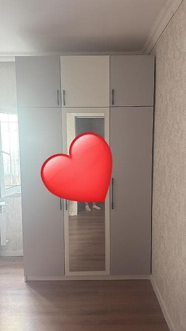 4 qapılı, Güzgülü, Boz, Digər material, Açılan, Düz dolab