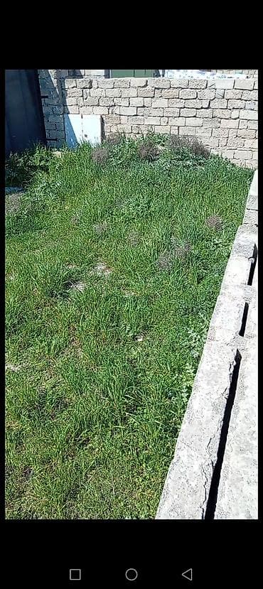 torpak: 2 sot, Tikinti, Barter mümkündür — 4