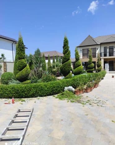 ağ dırnaq modelleri: Landşaft dizayin ummi abadliq qazon agaclar gul ciceklerlə bağlarin — 12