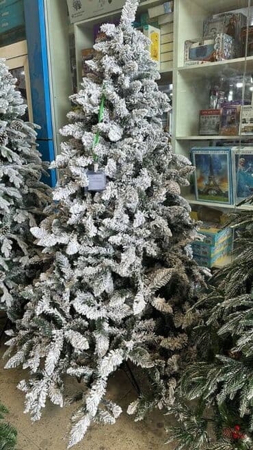 böyük yolka: YENI IL YOLKALARI HƏR ÇÜR ÇEŞİDLƏR VAR kreditle tək şəxsiyyət — 1