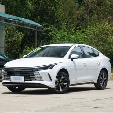 BYD: BYD Destroyer 05 – Gündəlik icarə (Taksi lisenziyası var) Texniki — 1