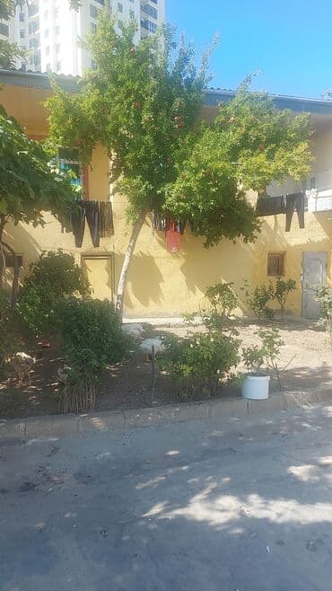 günəşlidə ev: Köhnə Günəşli 3 otaqlı, 100 kv. m, Kredit yoxdur, Yeni təmirli — 1