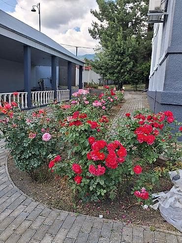 tap az gencede heyet evleri: 120 kv. m, 4 otaqlı, Kombi, Qaz, İşıq — 4