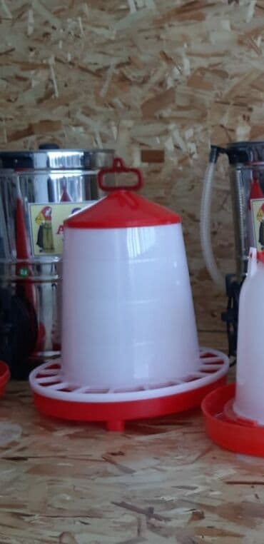 Yem qabı, Yem üçün, Quşlar üçün, Ünvandan götürmə, Pulsuz çatdırılma, Ödənişli çatdırılma lalafo.az -da Yem qabı, Yem üçün, Quşlar üçün, Ünvandan götürmə, Pulsuz çatdırılma, Ödənişli çatdırılma