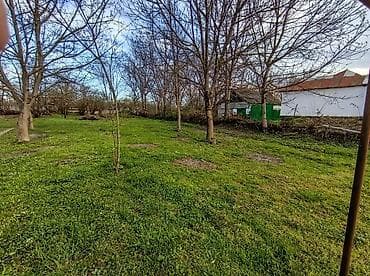 astara torpaq: 16 sot, Tikinti, Mülkiyyətçi, Kupça (Çıxarış) — 5