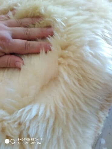 sebeke dekor: Мерино длинна 1,20 длинна шерсти 5-6 см куплен в Германии есть — 3