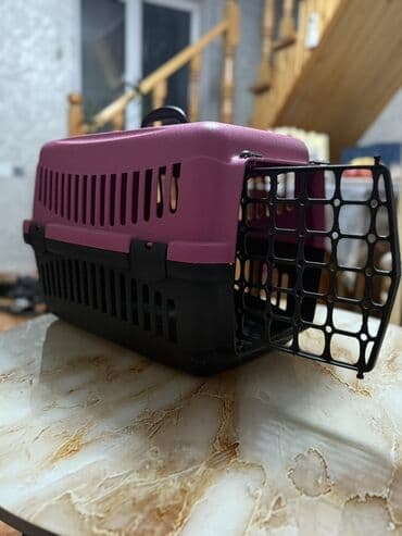 pişik yemek qabı: Heyvan daşıma konteyneri - Material: möhkəm plastik korpus, ön — 1