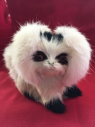 Digər kolleksiyalar: Heykəlcik, 1990 il, Rusiya, Ünvandan götürmə — 5