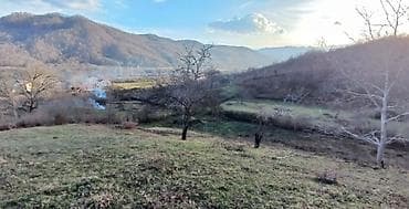 Təpəlik ərazidə yerləşən bu torpaq sahəsi kənd təsərrüfatı və ya — 3