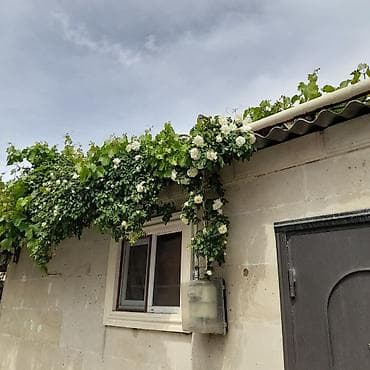 ev satisi: Biləcəri 1 otaqlı, 16 kv. m, Kredit yoxdur, Orta təmir — 1